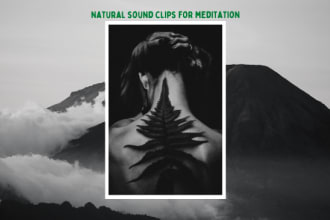 record ambient nature sounds for relaxing and meditation