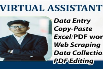 be your virtual assistant for data entry and web research