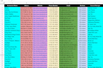 do fast excel data entry, web research, data scraping, and copy paste