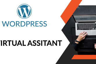 be your wordpress virtual assistant VA
