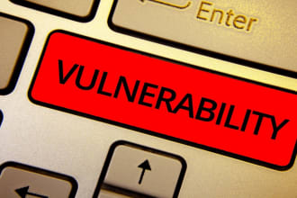 do vulnerability assessment with cyber security report