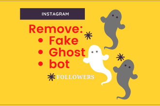 clean instagram fake ghost or bot followers