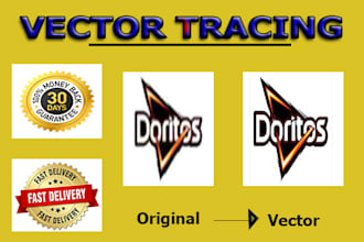 convert raster to vector or redraw any image