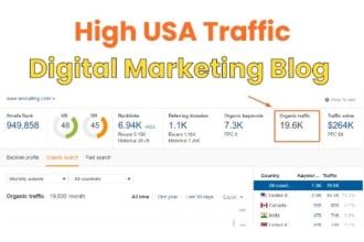 do usa based traffic guest post on digital marketing blog