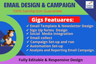 do mailchimp email  campaign