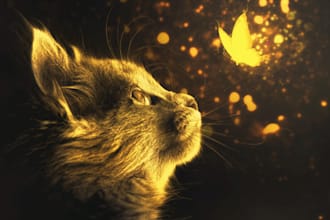 do photoshop editing and retouching work