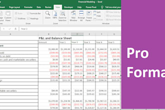 prepare pro forma or financial statements and do projection