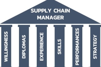 be your supply chain consultant