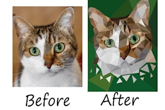 create a low poly illustration for you