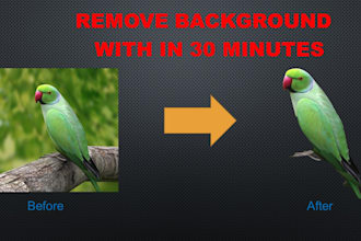 remove background of the photos