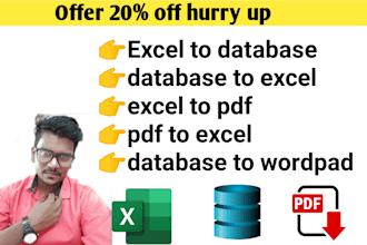 help you in excel database project, pdf conversion