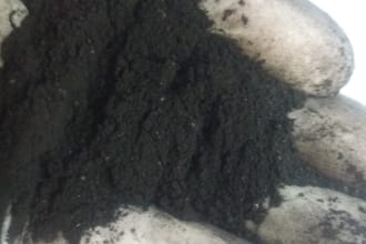 help in bioremediation, phytoremediation, heavy metals