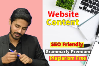 write SEO optimized content for your website