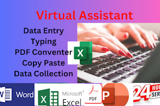 be your virtual assistant for data entry,data mining,copy paste,excel,pdf,email