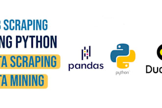 do web scraping, data mining, automation any website