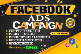 setup and manage facebook ads campaign manager and run fb ads campaign