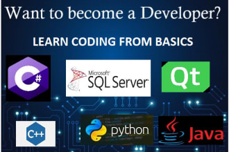 teach you sql and java cpp vb programming