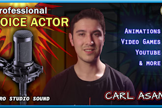 record a male voice over for your project