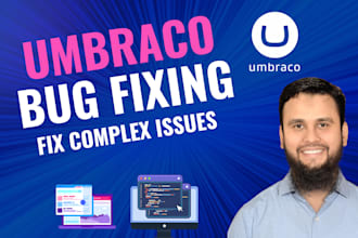 fix umbraco website bugs, errors, and performance issues