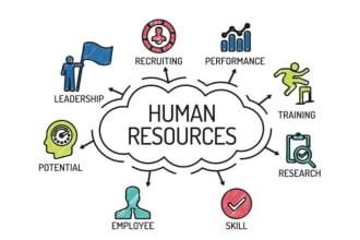 provide technical recruitment, sop, and HR management, HR and admin generalist