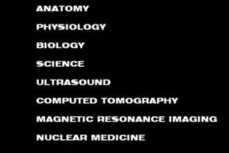 write articles on biology and radiology related content
