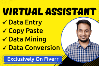 be your virtual assistant for data entry, data mining, typing, web research