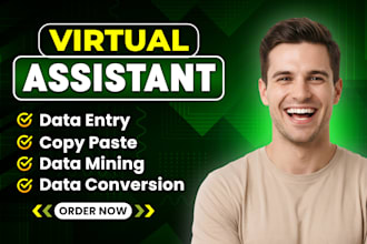 be your virtual assistant for data entry, data mining, typing, web research