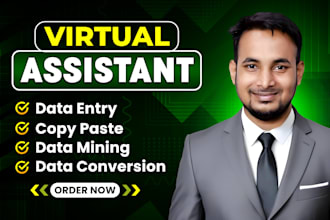be your virtual assistant for data entry, data mining, typing, web research