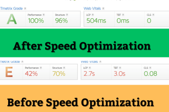 do wordpress speed optimization professionally up to 100