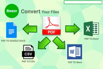 do pdf to word excel manual typing and files conversion