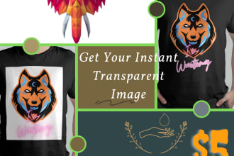 do transparent background in png format