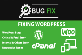 fix website bugs, errors, responsive problems, or 404 error