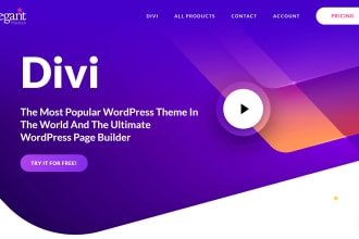 design your wordpress website with divi or envato theme