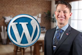 do custom updates for your wordpress website