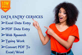 do perfect data entry,web research,copy paste,file conversion