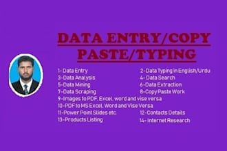 do fastest data entry and copy paste in one day and internet research