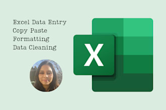 handle your excel data entry with precision