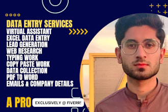 do fastest data entry, typing work and excel data entry work for you