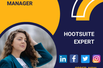 perfectly schedule your posts via hootsuite and planoly