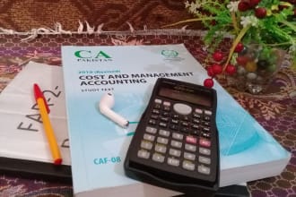write financial reports as chartered accountant
