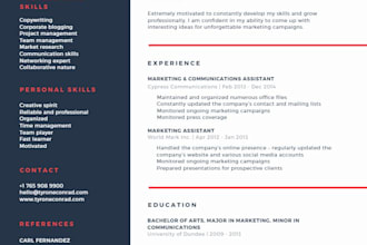 provide a professional CV writing and editing