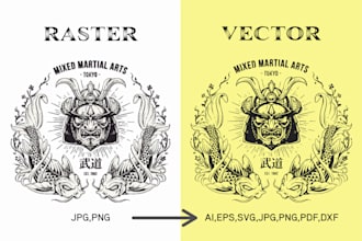 do manual vector tracing and redraw or convert any image, logo, drawings