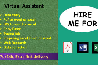 do data entry, PDF or jpeg to word or excel, copy paste,typing etc