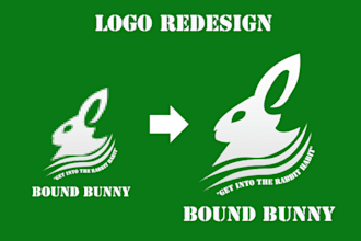 design, redesign, modify, edit, and vectorize your logo