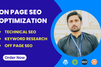do on page SEO for wordpress, shopify, wix and magento store