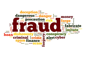 perform fraud review and due diligence