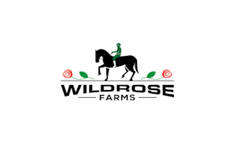 create a modern industrial yet light logo for a dressage horse training faciltiy