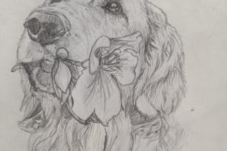 draw any animal or pet in pencil