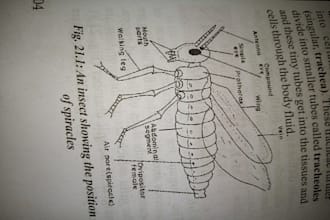 assist in biology assignment presentation article blog