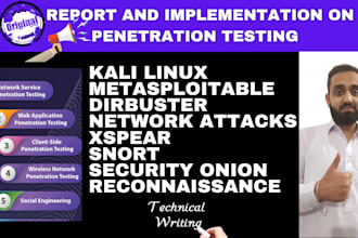 make penetration test and cybersecurity report in kali linux